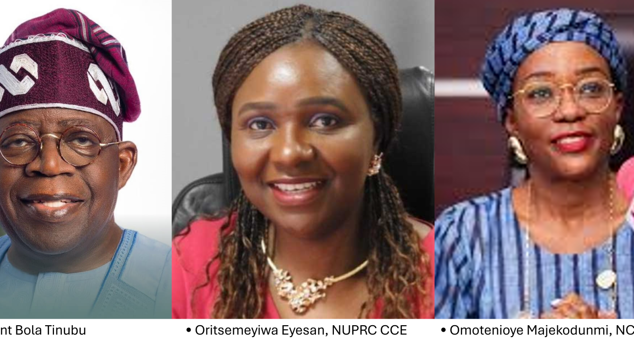 Nigeria’s $3 billion Target and the Global Carbon Economy
