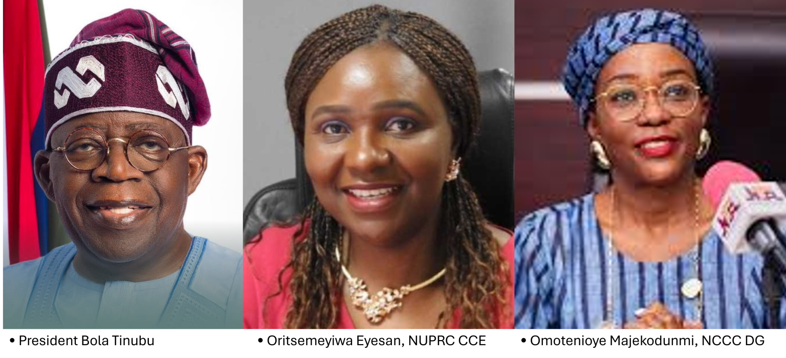 Nigeria’s $3 billion Target and the Global Carbon Economy